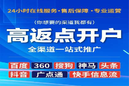 SEM运营公司经典案例点评